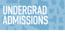 Undergraduate programmes in the academic 2016-2017